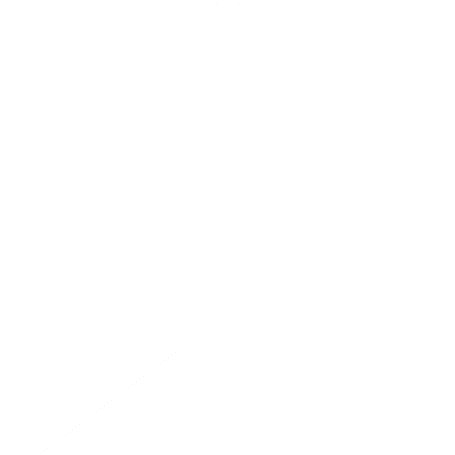 arrow icon